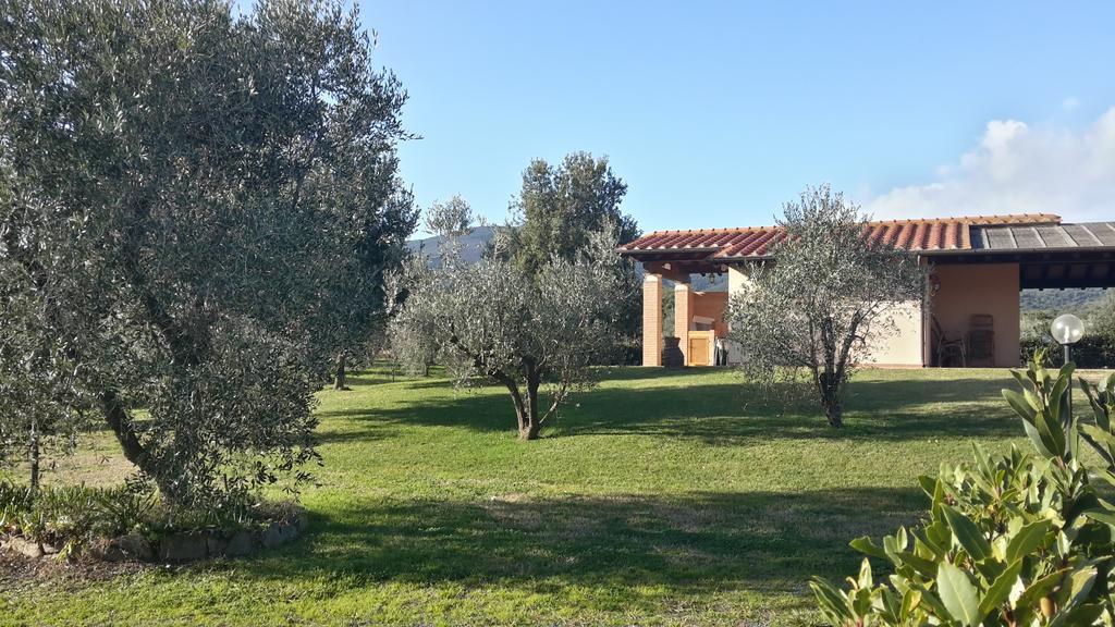 Agriturismo Casa Andreina Castiglione della Pescaia Eksteriør billede
