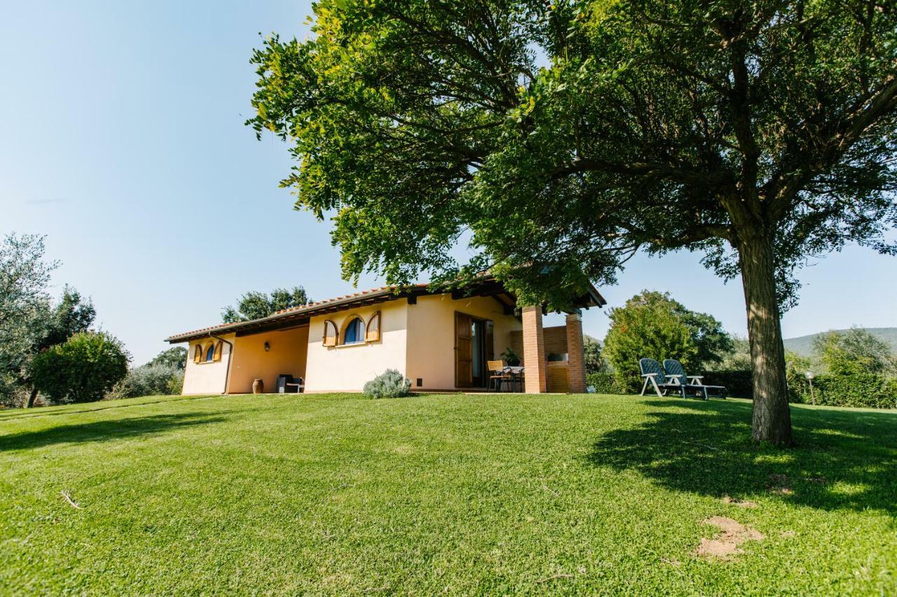 Agriturismo Casa Andreina Castiglione della Pescaia Eksteriør billede